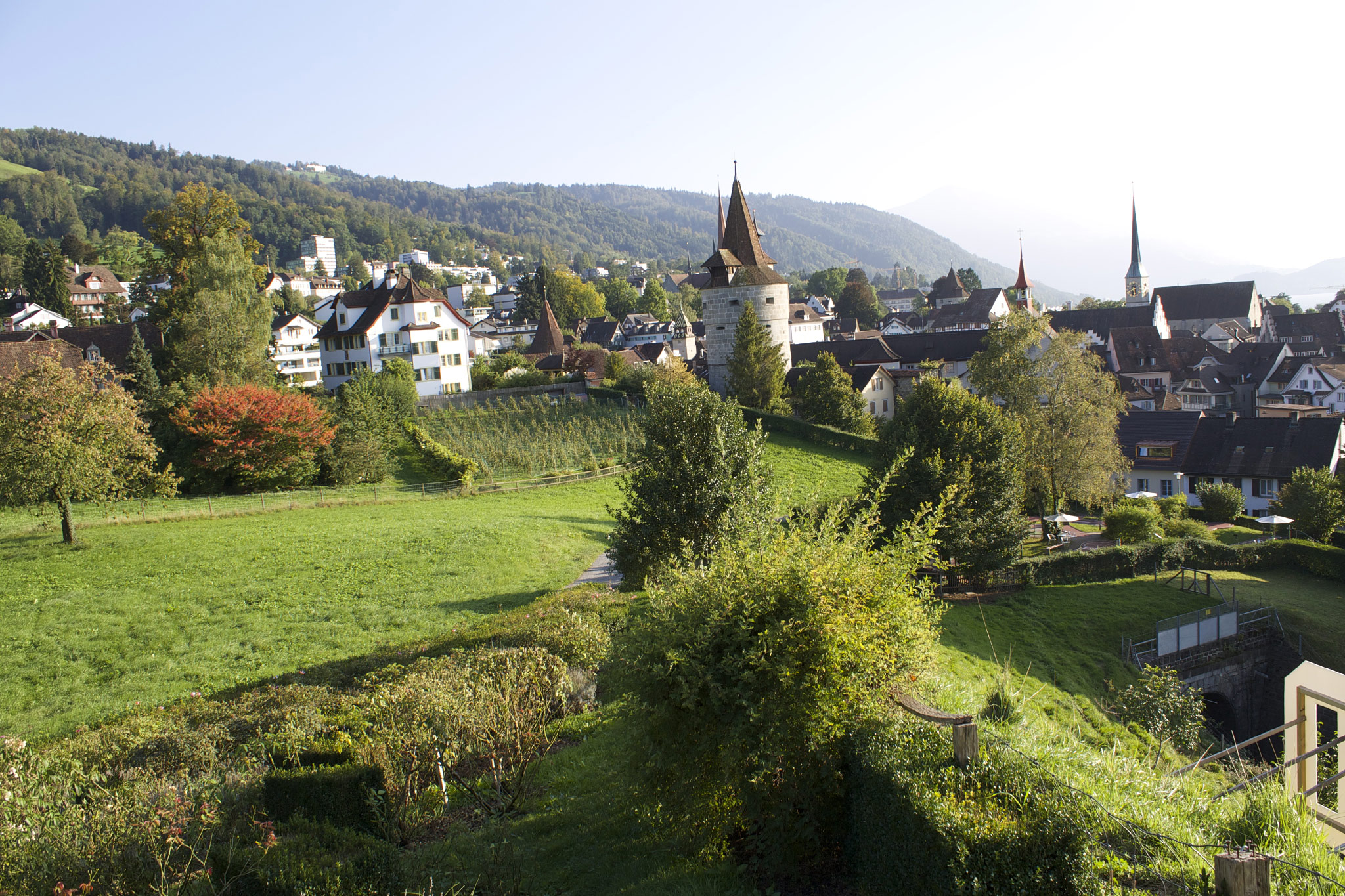 Zug